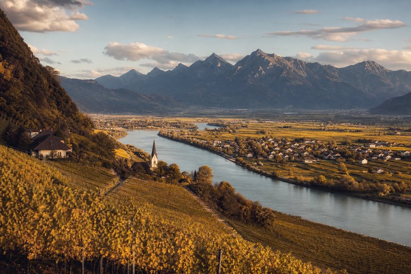 Rheintal in Liechtenstein mit Weinbergen und Alpenkette
